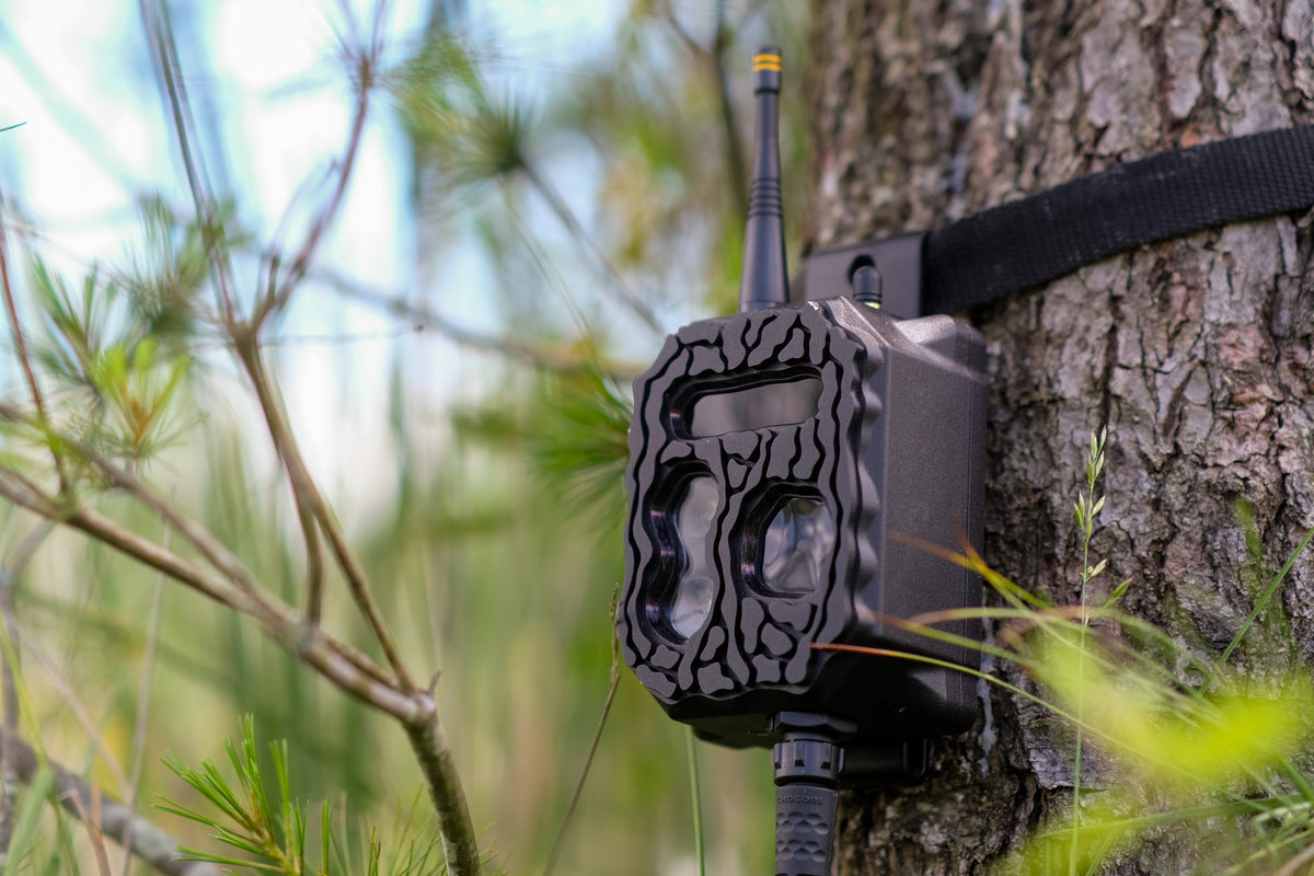 X80 Raptor Camera X80 DL Camera Kit – BuckEye Cam
